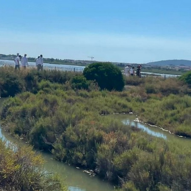 Inauguration de la nouvelle scénographie des Salins de Frontignan