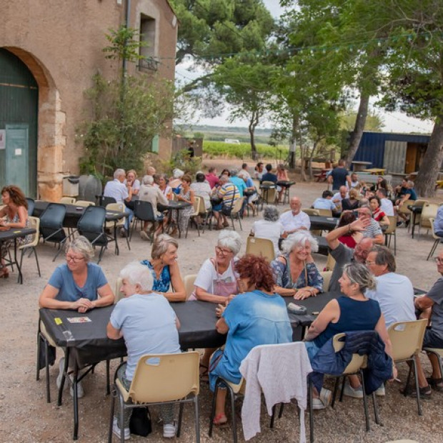 Un dîner gastronomique au cœur des vignes